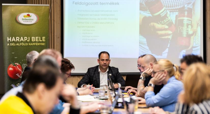 DélKerTÉSZ: Lökést adhat a zöldségfogyasztásnak az áfacsökkentés, olcsóbbak lehetnek a magyar zöldségek