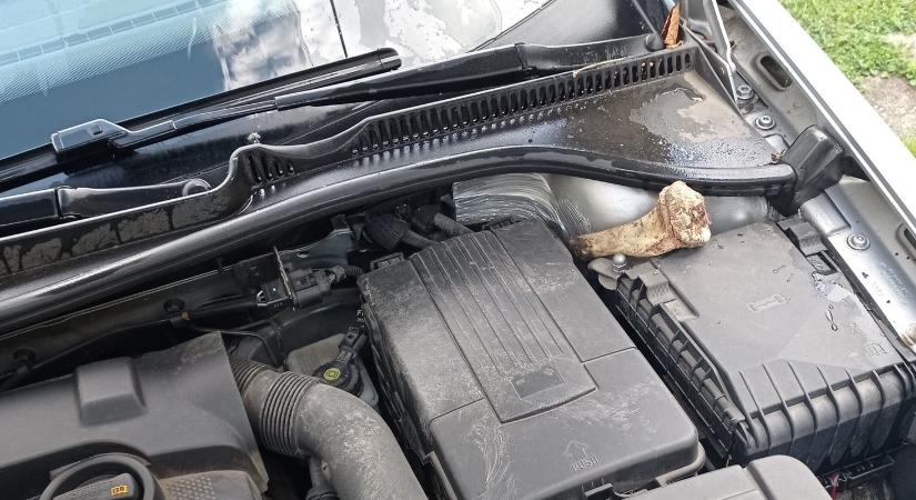 Bejgli, sült oldalas? Különös tárgyak kerülnek elő az autók motorteréből, íme a magyaráztat
