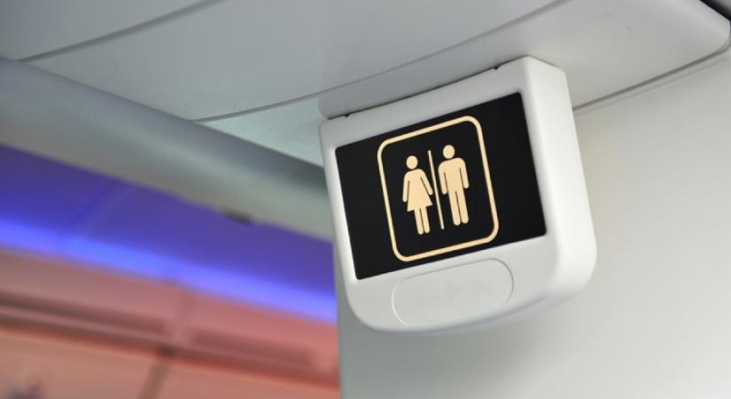 A stewardess figyelmeztet: sosem szabad vécépapírt használnod a repülőgép mosdójában - ezt csináld helyette
