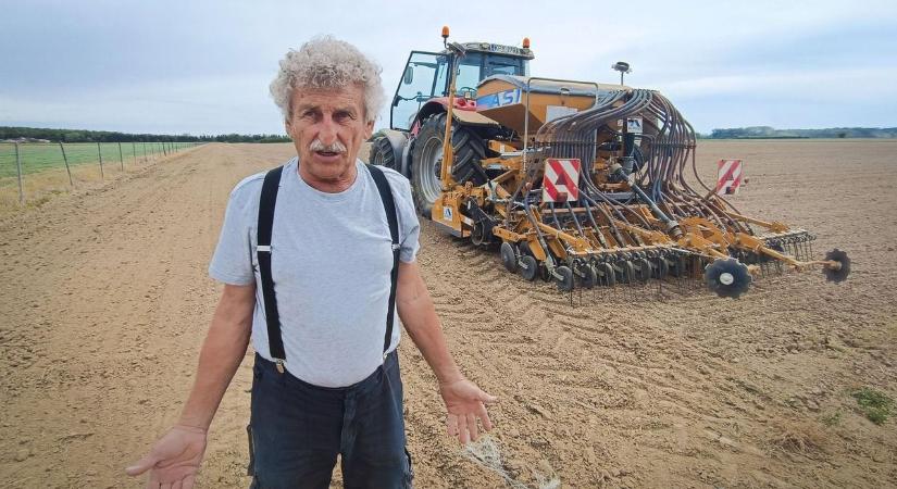 Ha nem lépnek, óriási baj közeleg – újabb fejlemények az ukrán gabonaügyben!