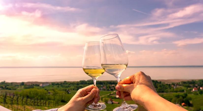 Veszélyben a magyar bor: fagy, aszály és fertőzés sújtja a szőlőültetvényeket