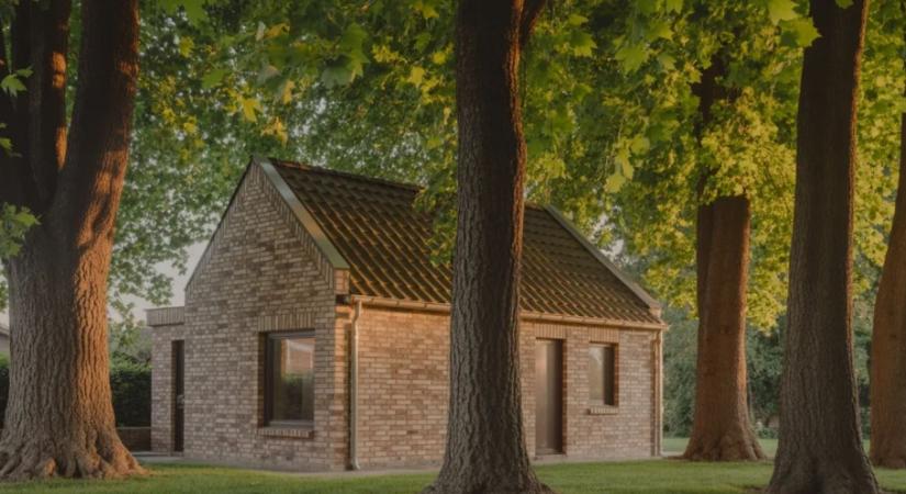 3 fa, amit a kertészek szerint soha nem szabad elültetni – később átvehetik az uralmat a kerted felett