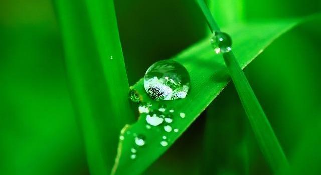 Horvát-magyar együttműködés indult erdők, vízkészletek és arborétumok megőrzéséért