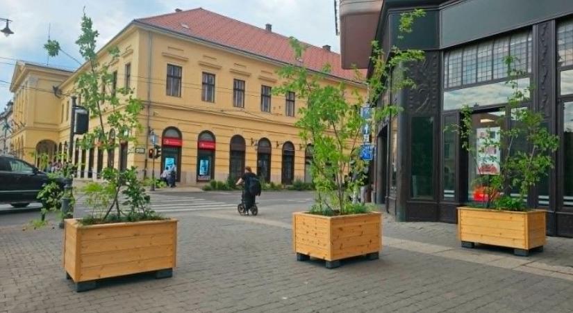 Virágokkal szorítják ki a pimasz autósokat Debrecenben