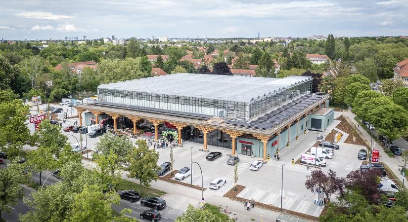 Salátát termeszt új szupermarketének a tetején a REWE Berlinben