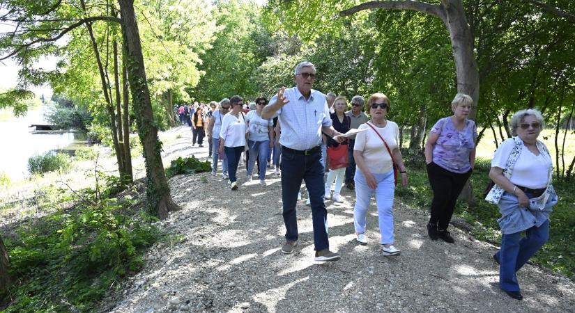 Vízparti sétány Mosonmagyaróváron: közösségi összefogás keretében már 13 millió forintot gyűjtöttek