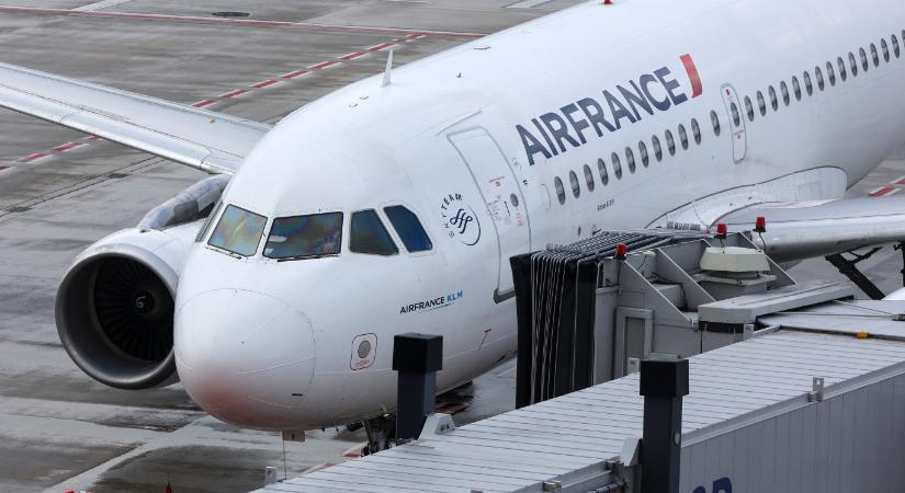 Fejenként több mint 80 millió forintos kártérítést kapnak a 2009-es Air France-katasztrófa áldozatainak családjai