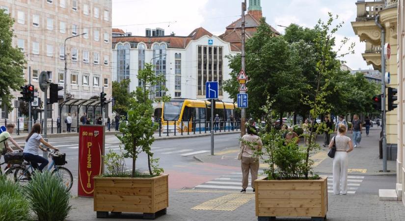 Esztétikus virágdézsákat helyeztek el Debrecen több pontján - fotókkal!