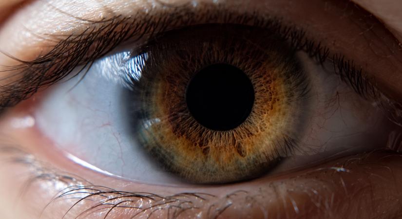 Óriási siker lett a disztópikus sorozat streamingen, már a finálé előtt bejelentették a 2. évadot