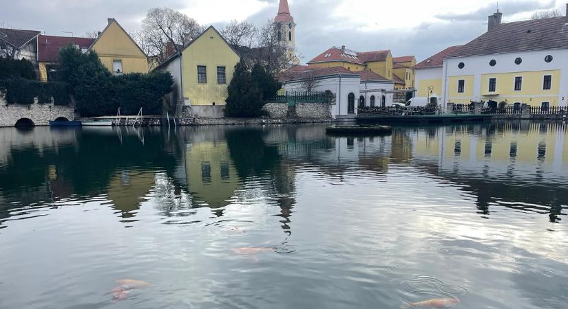 Hihetetlen felfedezés, középkori leletek kerültek elő Tapolcán