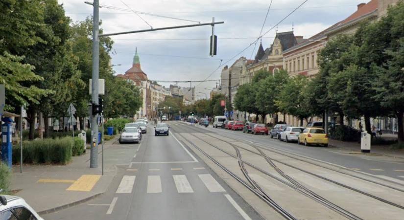 Felújított virágdézsákat helyeznek ki a Piac utcára