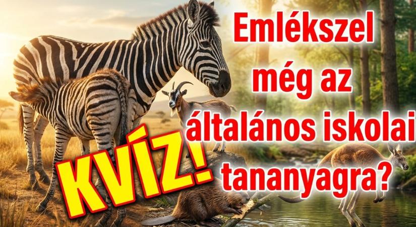Biológia kvíz: Vagy olyan okos mint egy 4.-es? Emlékszel a tananyagra az emlősökről? Most kiderül!