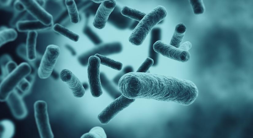 Valami egészen más jöhet az antibiotikumok helyett