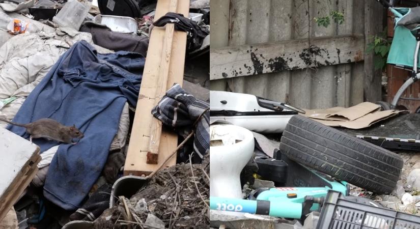 Patkány, szemét és azbeszt is van a Kelenföldi pályaudvar mellett