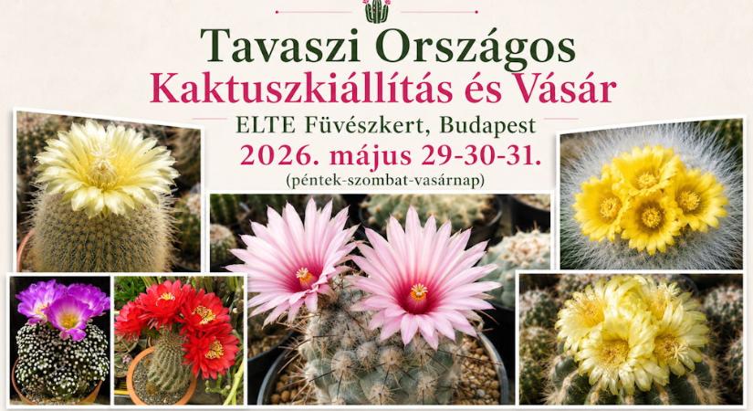 Tüskés szépségek a Füvészkertben: Tavaszi Országos Kaktuszkiállítás és Vásár 2026. május 29–31. között