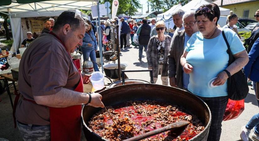 Felpezsdül az élet a Jászkunságban a pünkösdi hétvégén – mutatjuk a legjobb programokat