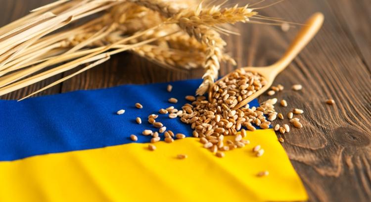 Új fordulat az ukrán gabona ügyében