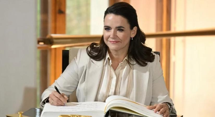 Sulyok Tamás közzétette a kegyelmi ügy iratait, mégsem lehet megnézni azokat
