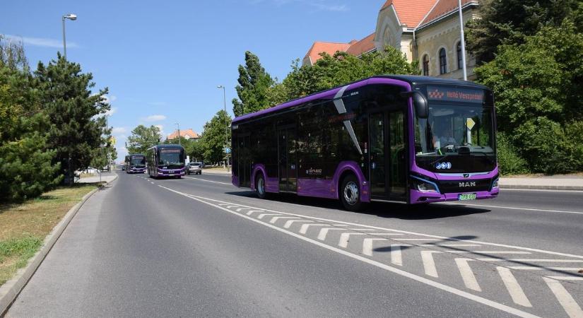 Erre készülj: több veszprémi busz útvonala is módosul