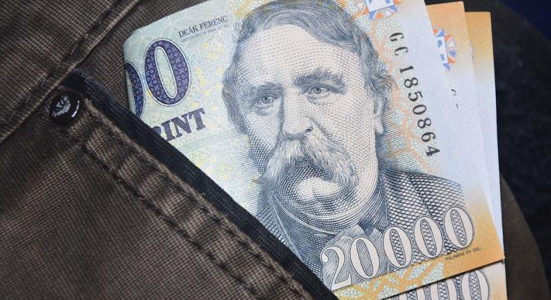 3,3 milliós vérdíjat tűztek ki az érdi gyújtogató fejére