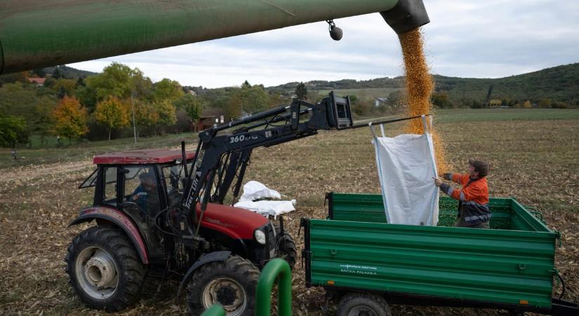 Az agrárminiszter szerint aszályos időben letöri az árakat az ukrán gabona