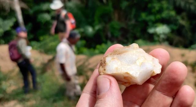 Mégsem félt a Homo sapiens az esőerdőktől