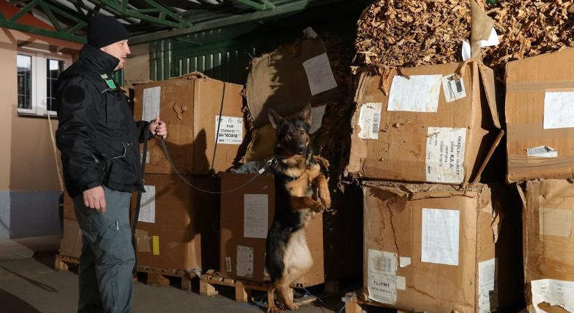 Óriási fogás az M7-esen: durva balhé miatt lekapcsolták a kamionost