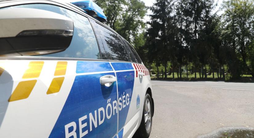 Döbbenet a Balatonnál: "kacsázott" az úton a részeg sofőr, ám megérkeztek a rendőrök - videó
