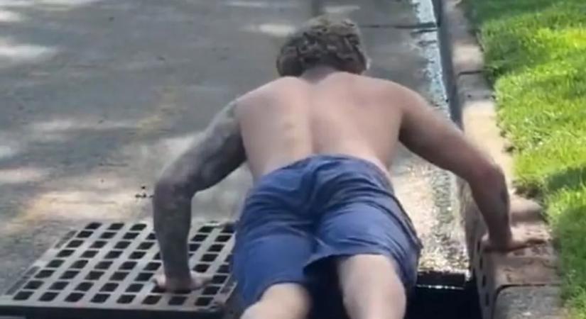 Megható videó: kiskacsákat mentett ki egy férfi a csatornából