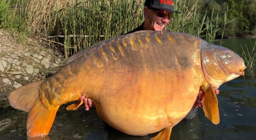 Új osztrák rekord! 41 kilós pontyot fogott Ausztriában a magyar horgász