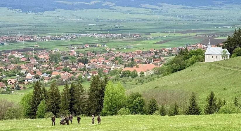 Három medvét űztek el a csíksomlyói búcsú helyszínéről – Bármikor visszatérhetnek
