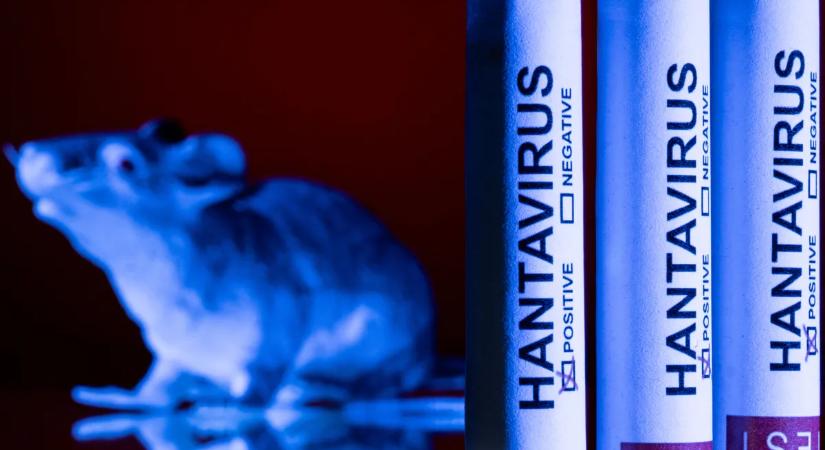 Rejtélyes haláleset: újabb országban terjed a hantavírus