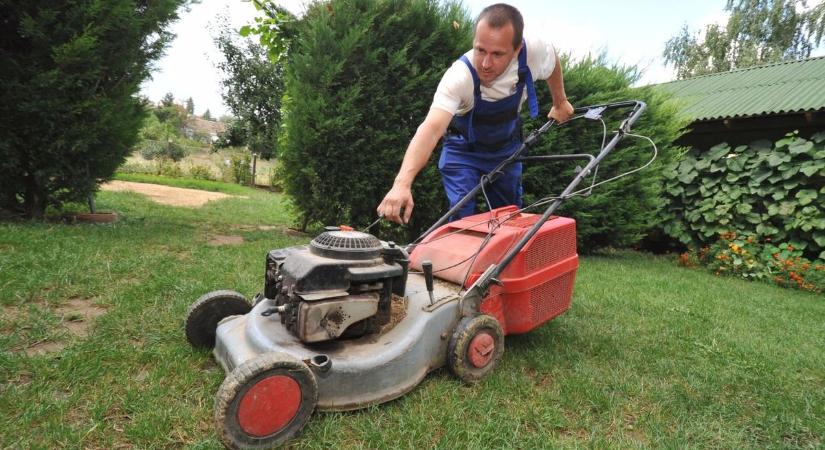 A tuzséri kertész trükkjeivel a te gyeped lesz a környék legszebbje – így soha, de soha ne vágd a füvet!