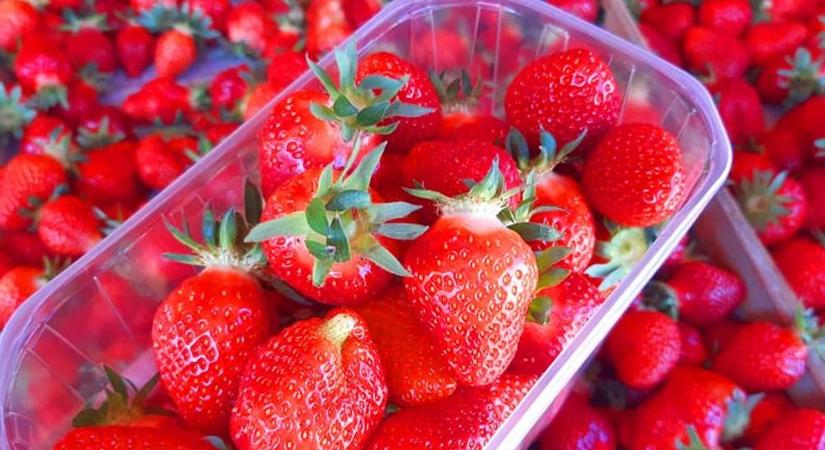 Itt gyűjthetjük magunknak az epret – mutatjuk a baranyai helyszíneket!