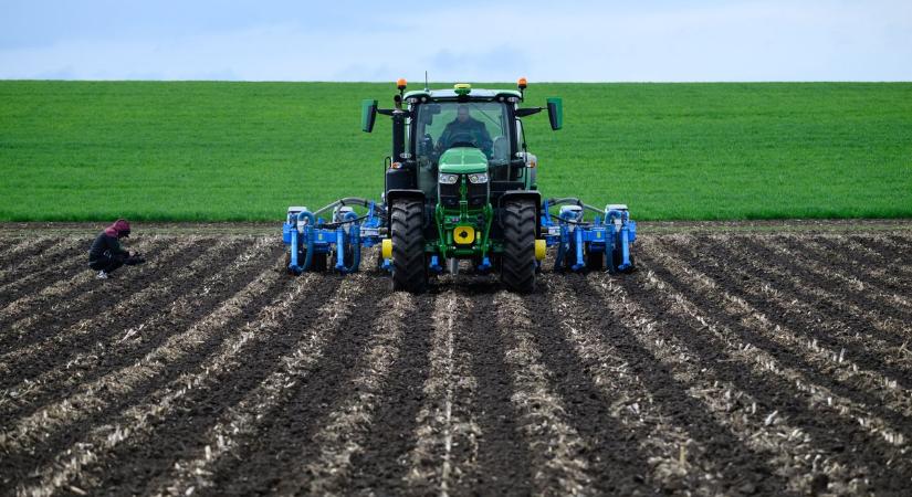 Nem aggódik az ukrán gabonaimport miatt az agrárminiszter, szerinte nagyobb veszélyt jelent Szlovákia és Lengyelország