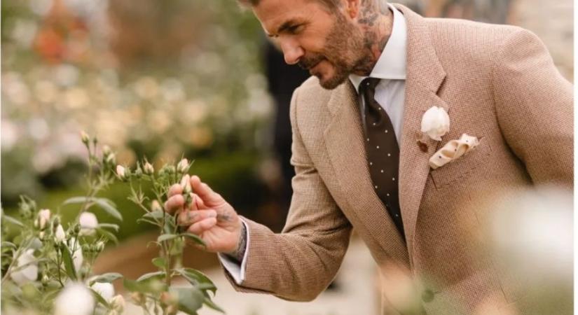 David Beckhamről neveztek el egy új rózsát – és nem csak a neve miatt különleges