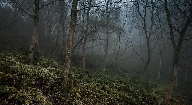 Magyarországon is megjelent a vírus, amely állatok millióit veszélyeztetheti