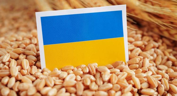 Ukrán gabonaügy: tiltás, jogi rés és piaci matek