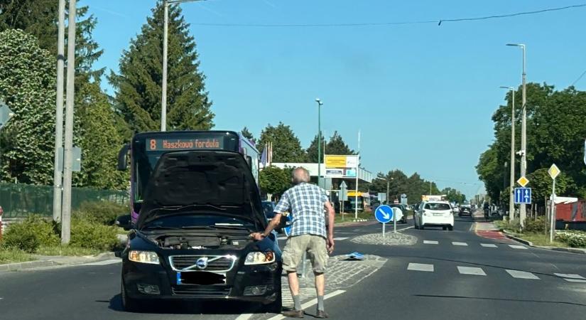 Sokadik életüket élik a veszprémi jelzőtáblák, egyiküket megint sikerült letarolni (fotók)