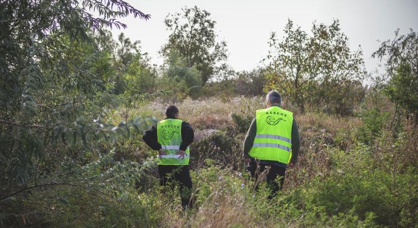 Eltűnt egy 14 éves lány: rózsaszín mellényt, fekete nadrágot viselt
