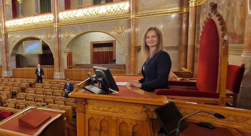 Ókovács Szilveszter saját költségén készítettné el a házelnöki szék másolatát