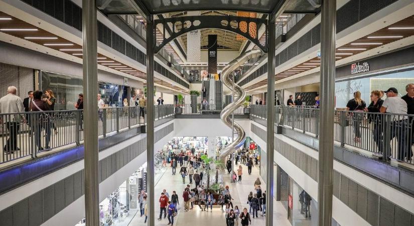 Tik Tok-sztár kutyát keres a győri bevásárlóközpont