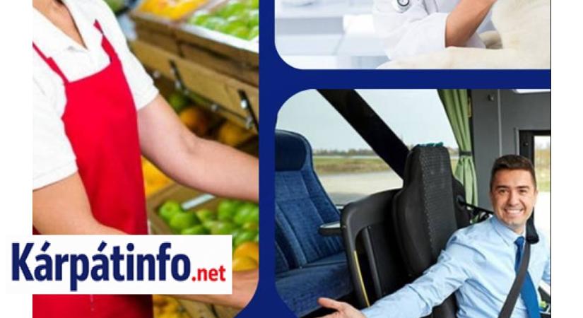 Álláskeresők figyelem: TOP 10 legkeresettebb munka Kárpátalján