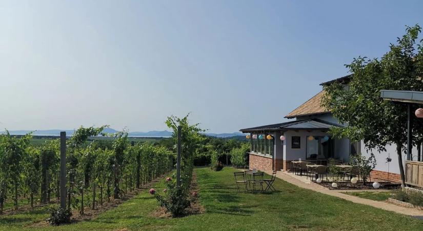 Bor, panoráma és nyugalom: Somogy legszebb borteraszai egy helyen