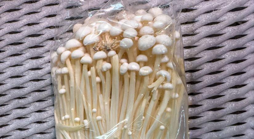 Halálos baktérium miatt hívják vissza az ázsiai gombát, magyar boltokba is kerülhetett