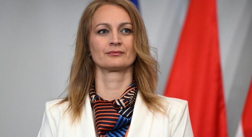 Arra kéri Forsthoffer Ágnes a távozó képviselőket, hogy három havi bérüket ajánlják fel jótékony célra