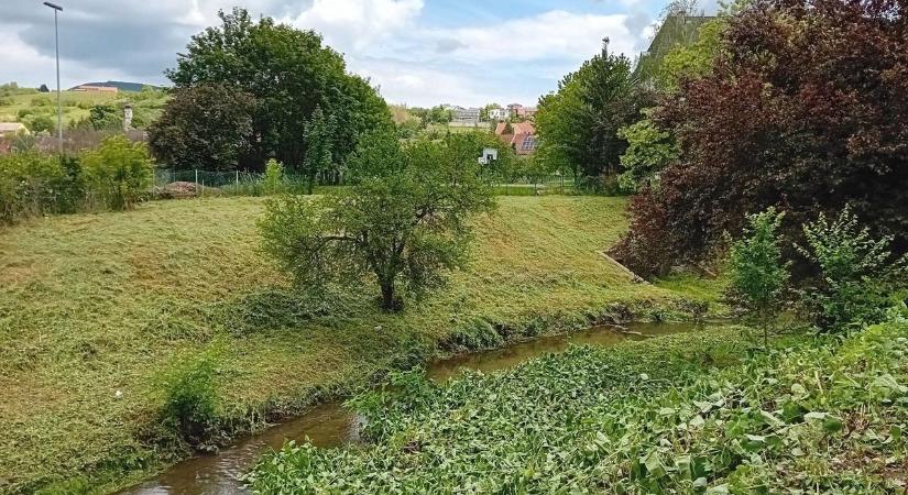 „Vágatlan május” Egerben? Nem mindenhol állt le a fűnyírás – mutatjuk az okokat