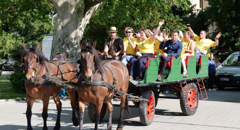 Traktor kísérte a sárgulók fogatos menetét