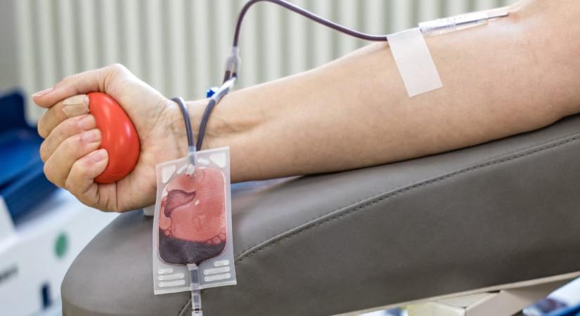 Lemondott az Országos Vérellátó Szolgálat főigazgatója, Bayerné Matusovits Andrea
