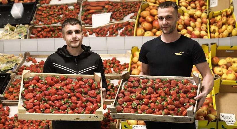 Berobbant a nyári szezon: mutatjuk, mennyiért vásárolhat a Győri Vásárcsarnokban - fotók